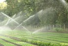 Thulimbahlandscaping-water-management-and-drainage-17.jpg; ?>